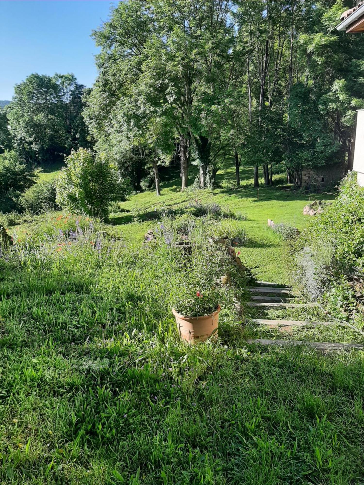 Chambre D'Hotes Charme Et Nature Vieille-Brioude Dış mekan fotoğraf