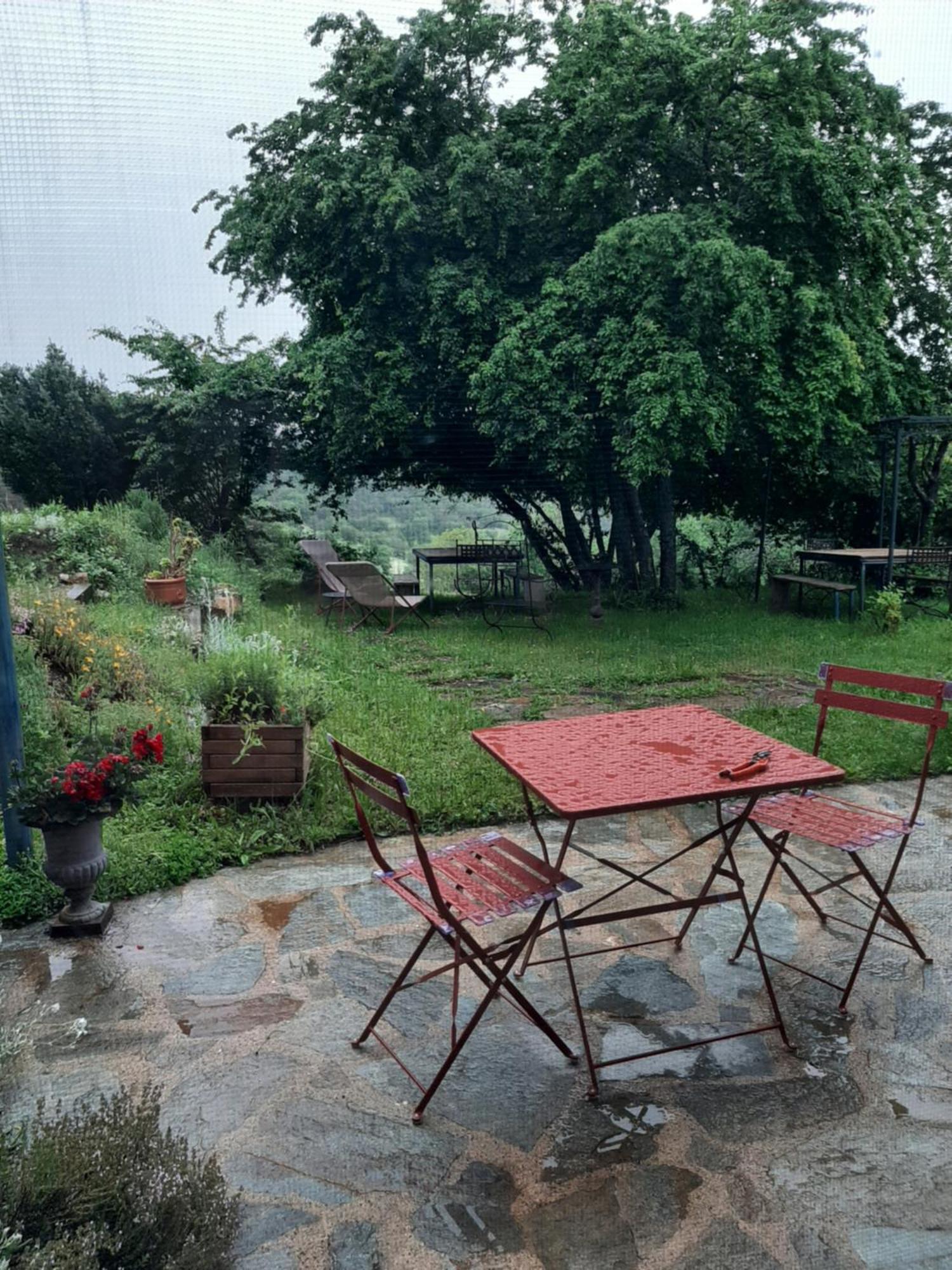 Chambre D'Hotes Charme Et Nature Vieille-Brioude Dış mekan fotoğraf